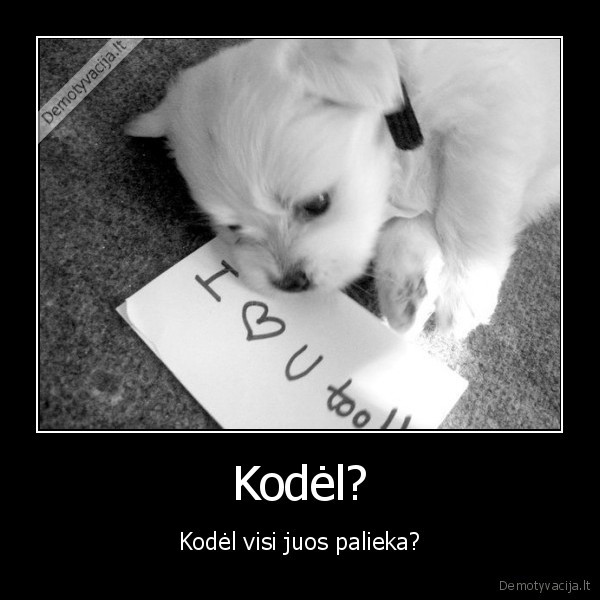 Kodėl? - Kodėl visi juos palieka?