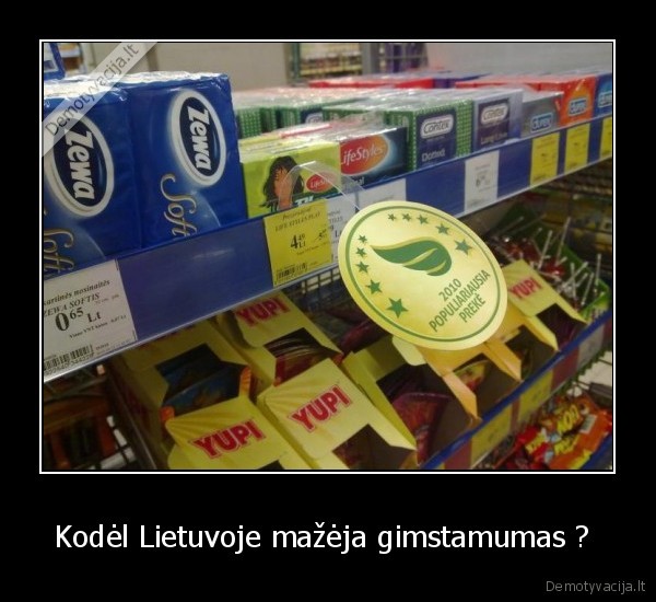 Kodėl Lietuvoje mažėja gimstamumas ?  - 