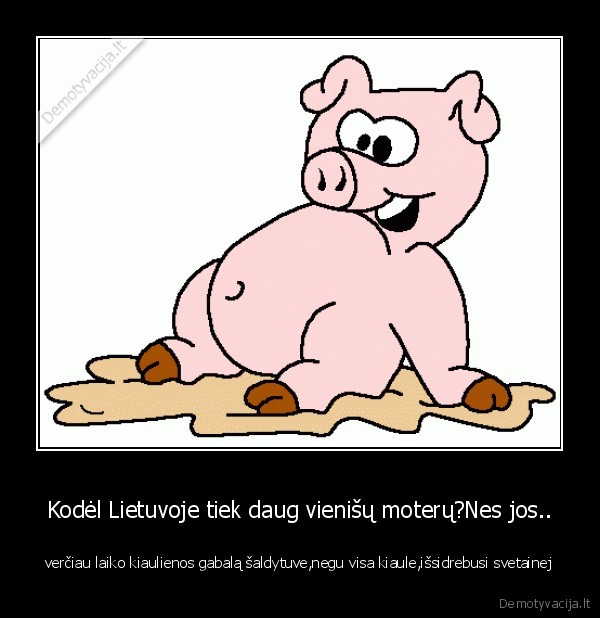 Kodėl Lietuvoje tiek daug vienišų moterų?Nes jos.. - verčiau laiko kiaulienos gabalą šaldytuve,negu visa kiaule,išsidrebusi svetainej