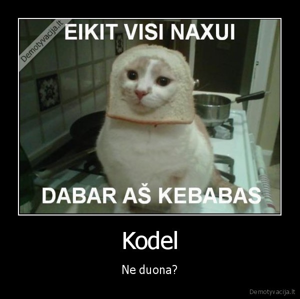 Kodel - Ne duona?