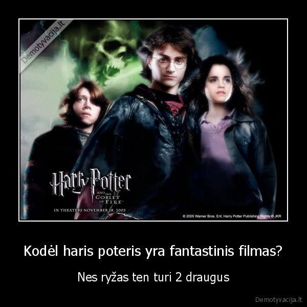 Kodėl haris poteris yra fantastinis filmas? - Nes ryžas ten turi 2 draugus