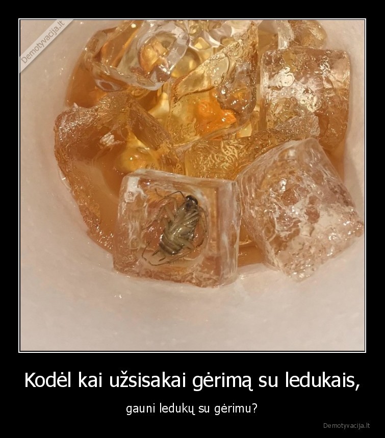 Kodėl kai užsisakai gėrimą su ledukais, - gauni ledukų su gėrimu?