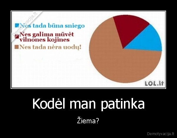 Kodėl man patinka - Žiema?