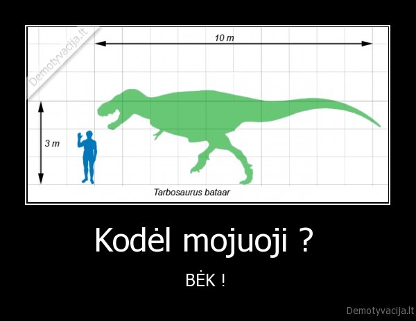 Kodėl mojuoji ?  - BĖK ! 