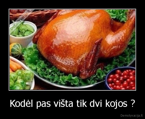 Kodėl pas višta tik dvi kojos ? - 