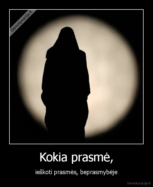 Kokia prasmė, - ieškoti prasmės, beprasmybėje