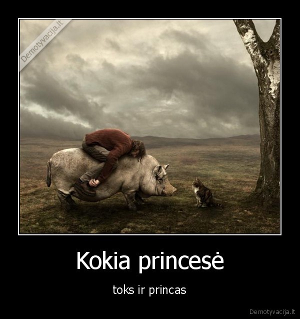 Kokia princesė - toks ir princas