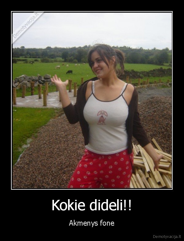 Kokie dideli!! - Akmenys fone