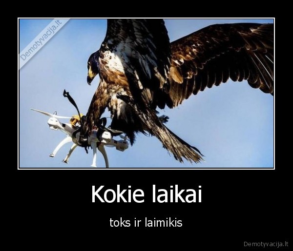 Kokie laikai - toks ir laimikis