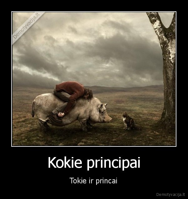 Kokie principai - Tokie ir princai