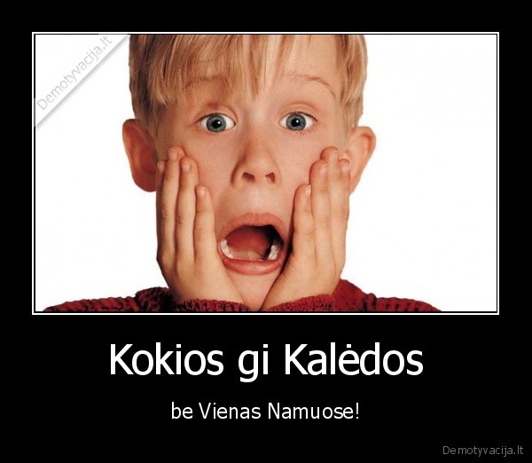 Kokios gi Kalėdos - be Vienas Namuose!