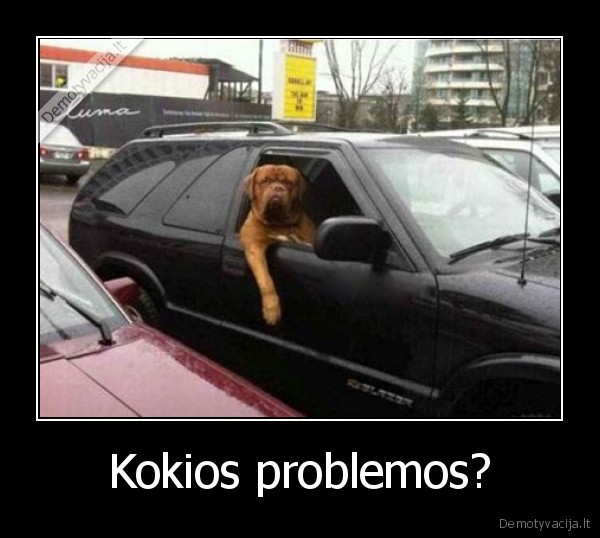 Kokios problemos? - 