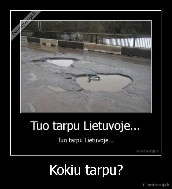 Kokiu tarpu? - 