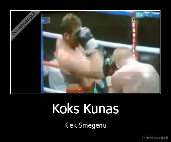 Koks Kunas - Kiek Smegenu