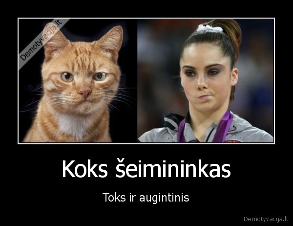 Koks šeimininkas - Toks ir augintinis