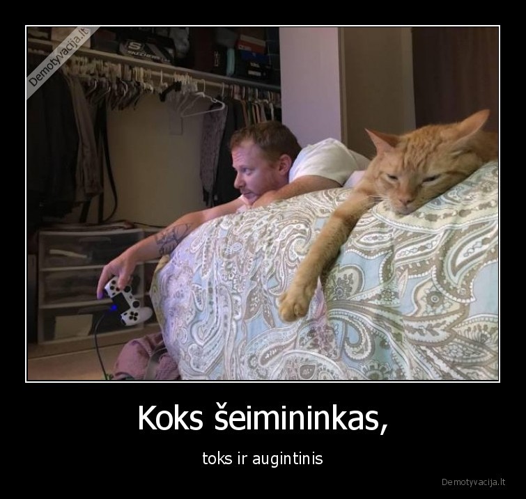 Koks šeimininkas, - toks ir augintinis