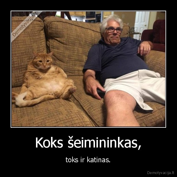 Koks šeimininkas, - toks ir katinas.