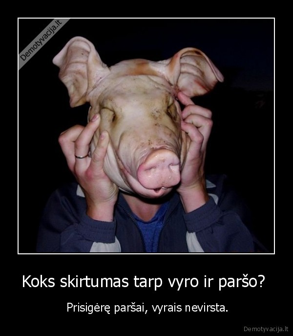 Koks skirtumas tarp vyro ir paršo?  -  Prisigėrę paršai, vyrais nevirsta.