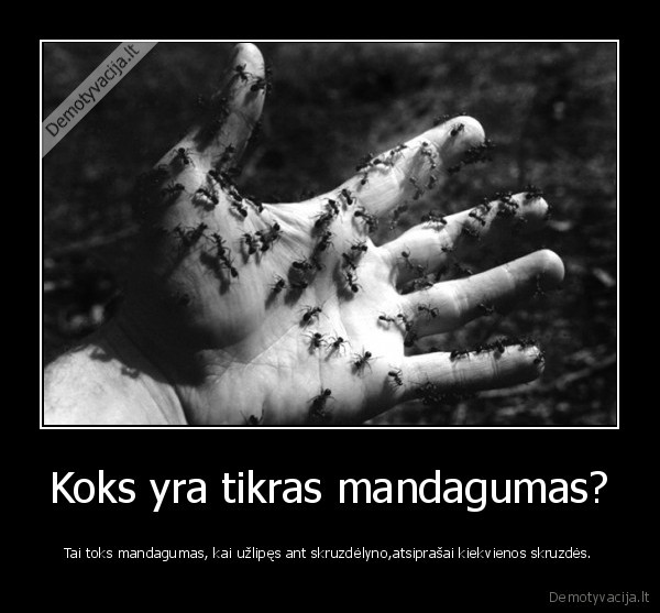 Koks yra tikras mandagumas? - Tai toks mandagumas, kai užlipęs ant skruzdėlyno,atsiprašai kiekvienos skruzdės.