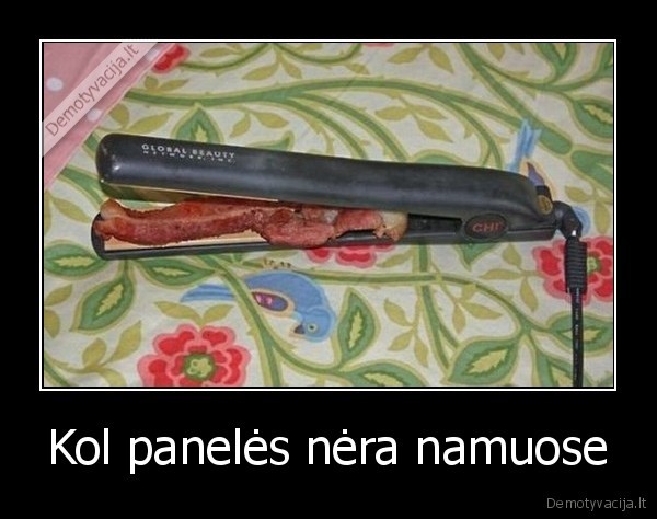 Kol panelės nėra namuose - 