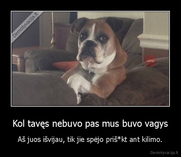 Kol tavęs nebuvo pas mus buvo vagys - Aš juos išvijau, tik jie spėjo priš*kt ant kilimo.