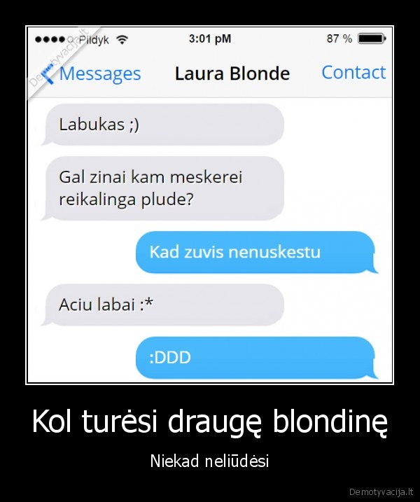 Kol turėsi draugę blondinę - Niekad neliūdėsi