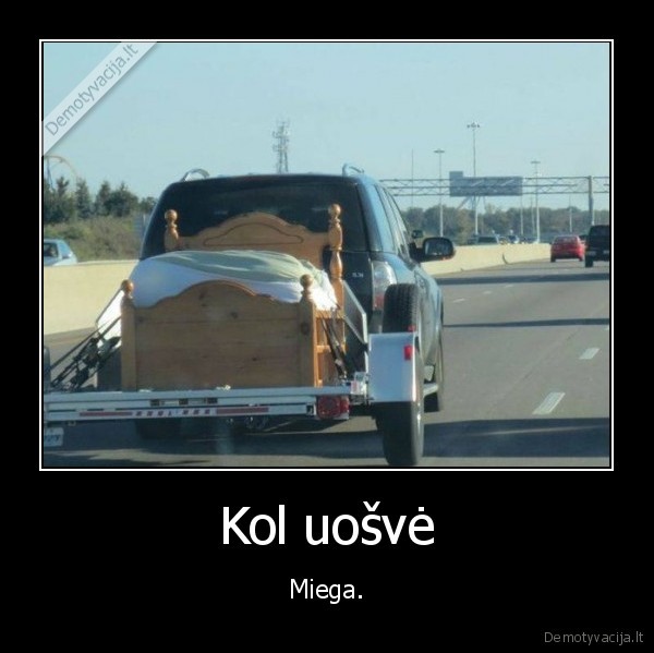 Kol uošvė - Miega.