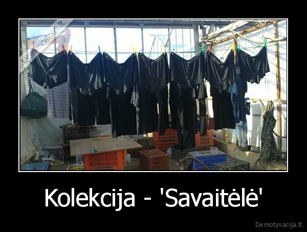 Kolekcija - 'Savaitėlė' - 