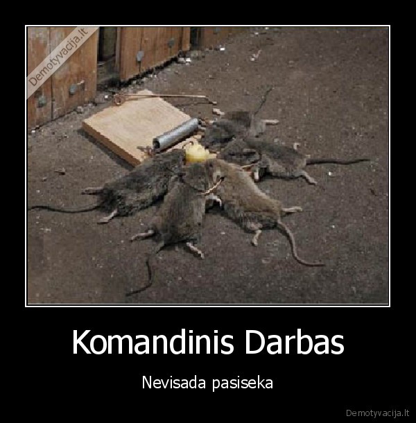 Komandinis Darbas - Nevisada pasiseka