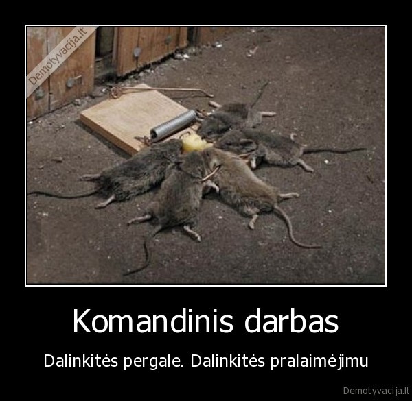 Komandinis darbas - Dalinkitės pergale. Dalinkitės pralaimėjimu