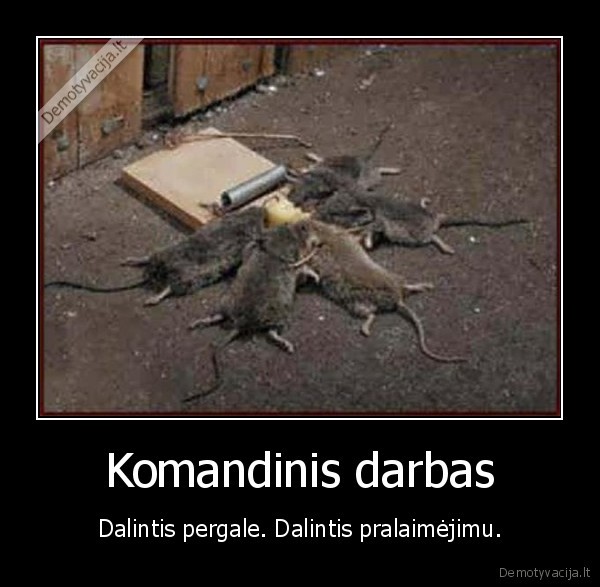 Komandinis darbas - Dalintis pergale. Dalintis pralaimėjimu.