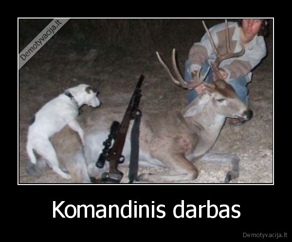 Komandinis darbas - 