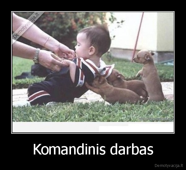 Komandinis darbas - 