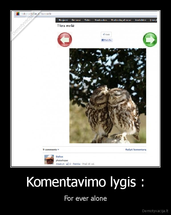 Komentavimo lygis : - For ever alone