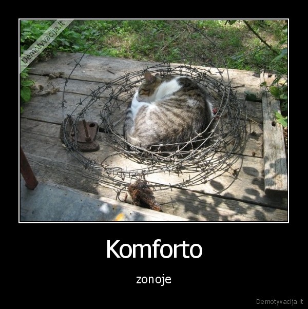 Komforto - zonoje