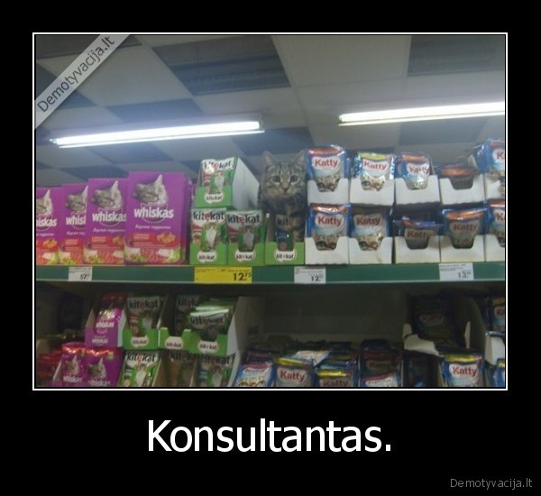 Konsultantas. - 