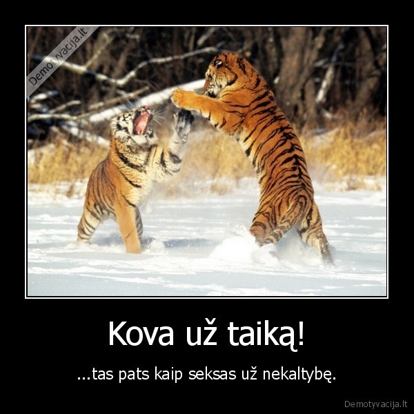 Kova už taiką! - ...tas pats kaip seksas už nekaltybę.