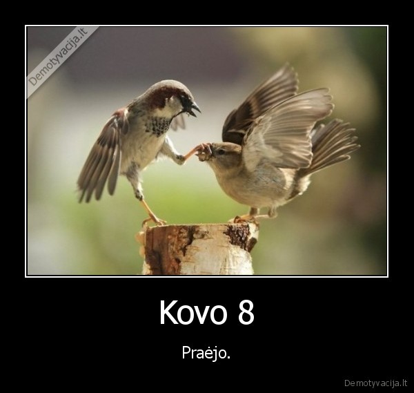 Kovo 8 - Praėjo.