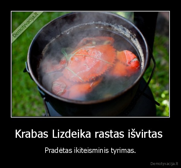 Krabas Lizdeika rastas išvirtas  - Pradėtas ikiteisminis tyrimas.
