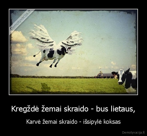 Kregždė žemai skraido - bus lietaus, - Karvė žemai skraido - išsipylė koksas