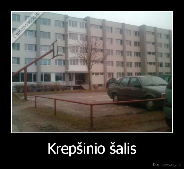 Krepšinio šalis - 