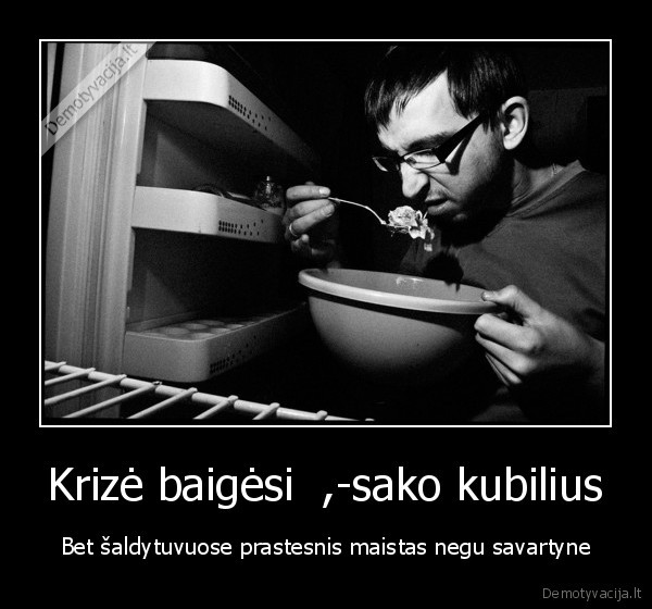 Krizė baigėsi  ,-sako kubilius - Bet šaldytuvuose prastesnis maistas negu savartyne