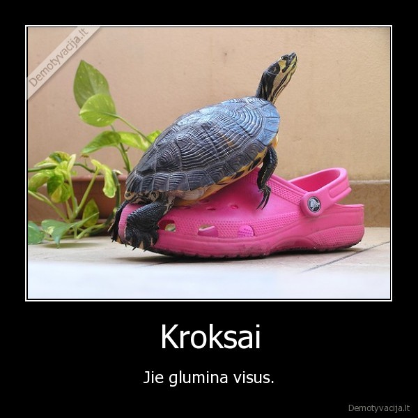 Kroksai - Jie glumina visus.