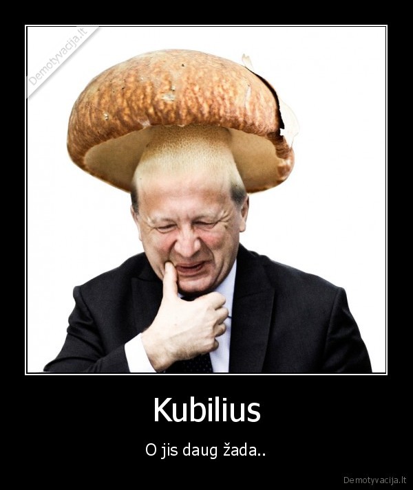 Kubilius - O jis daug žada..