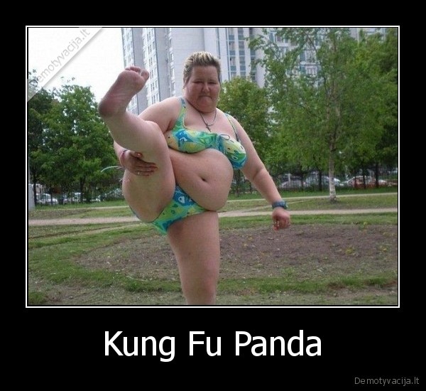 Kung Fu Panda - 