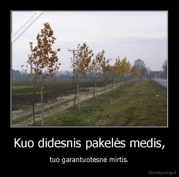 Kuo didesnis pakelės medis, - tuo garantuotesnė mirtis.