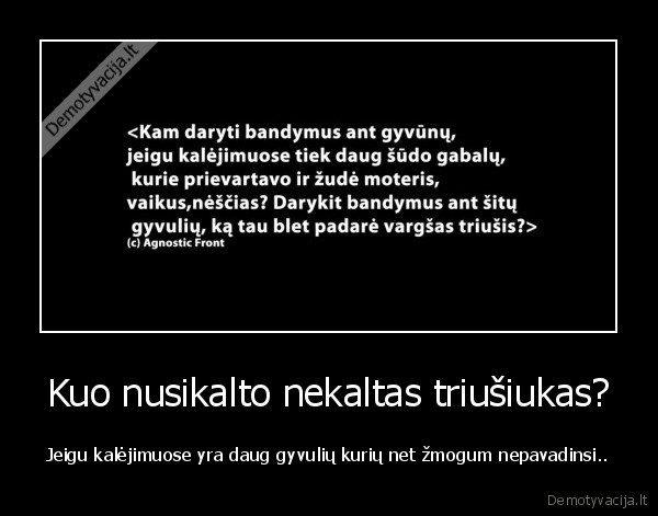 Kuo nusikalto nekaltas triušiukas? - Jeigu kalėjimuose yra daug gyvulių kurių net žmogum nepavadinsi..