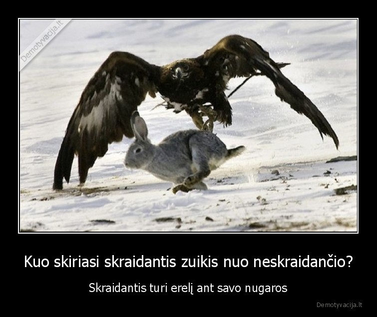 Kuo skiriasi skraidantis zuikis nuo neskraidančio? - Skraidantis turi erelį ant savo nugaros