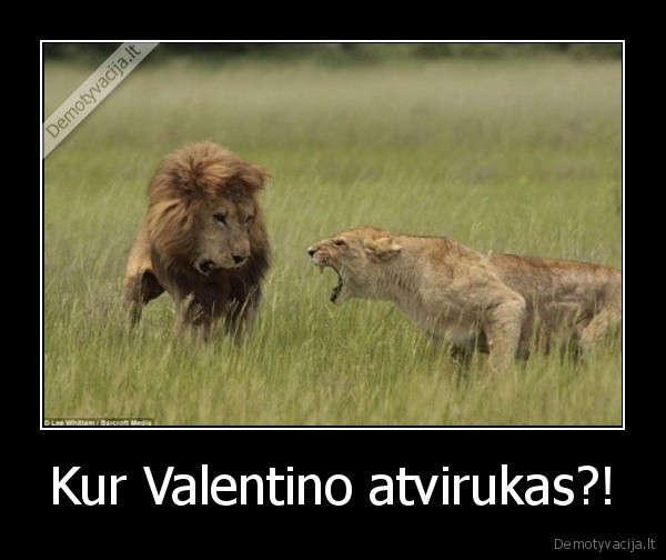 Kur Valentino atvirukas?! - 