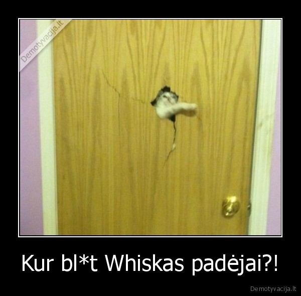 Kur bl*t Whiskas padėjai?! - 